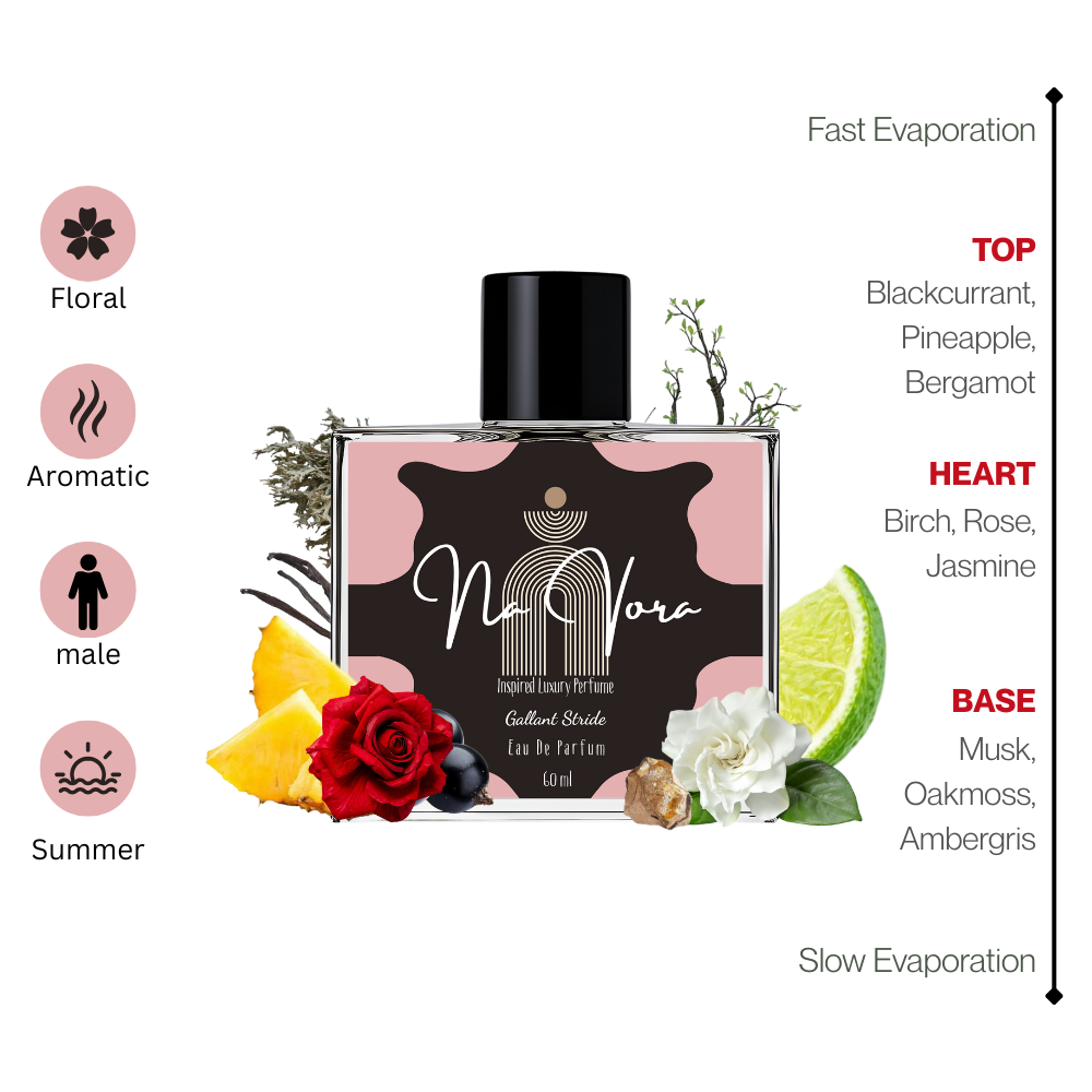 Navora Gallant Stride Perfume for Men (100ML)